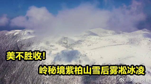 脑洞小老弟无实名认证
